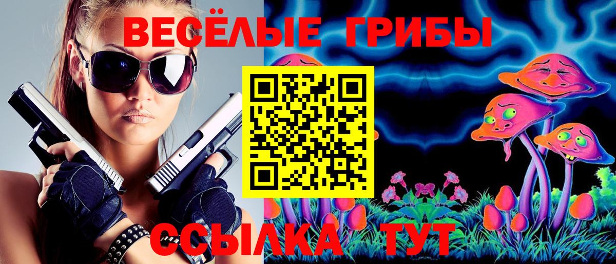 Галлюциногенные грибы Psilocybe Глазов