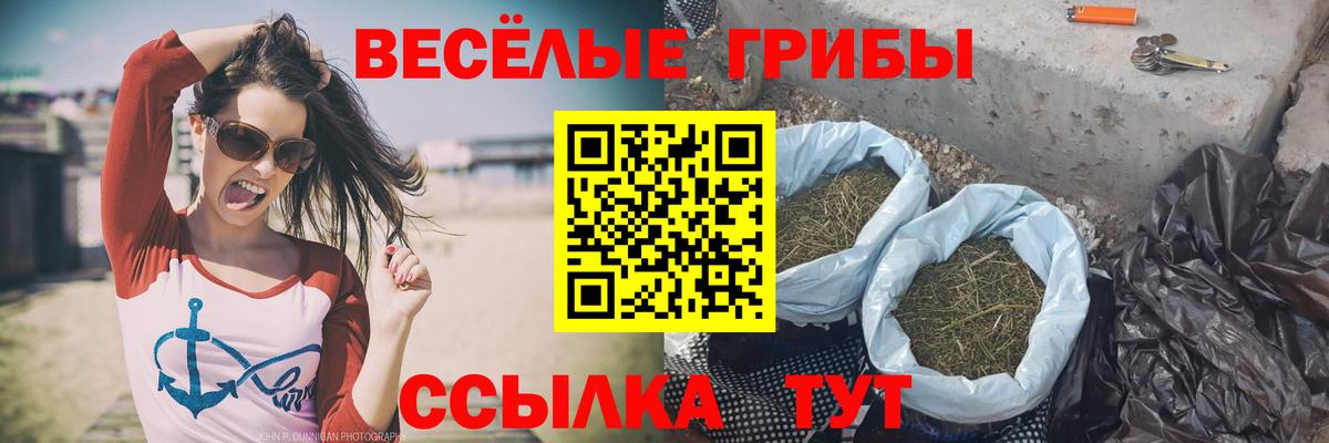 Галлюциногенные грибы GOLDEN TEACHER  Псилоцибиновые грибы Psilocybine cubensis  Вход с VPN  Глазов 